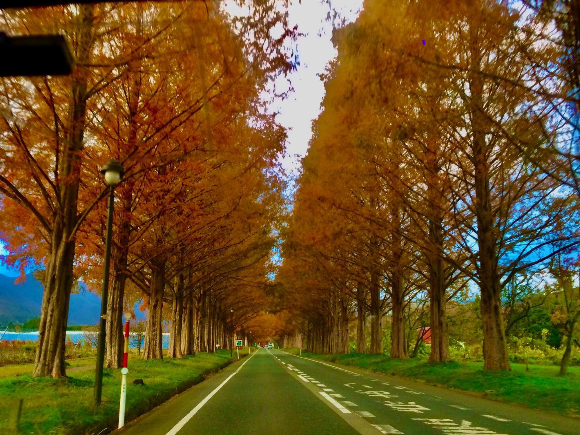 Koke Musu Inn Otsu Exterior foto