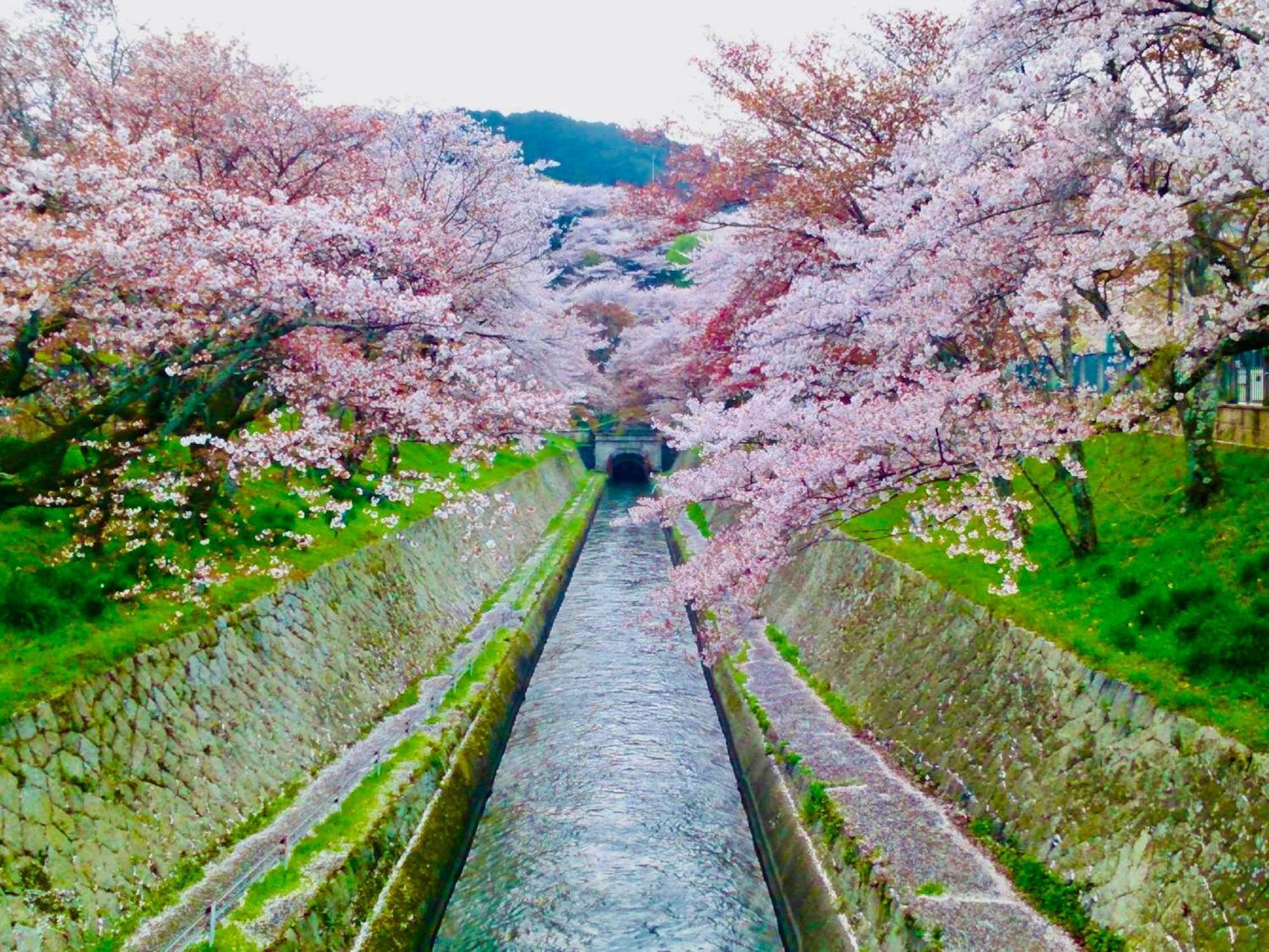 Koke Musu Inn Otsu Exterior foto