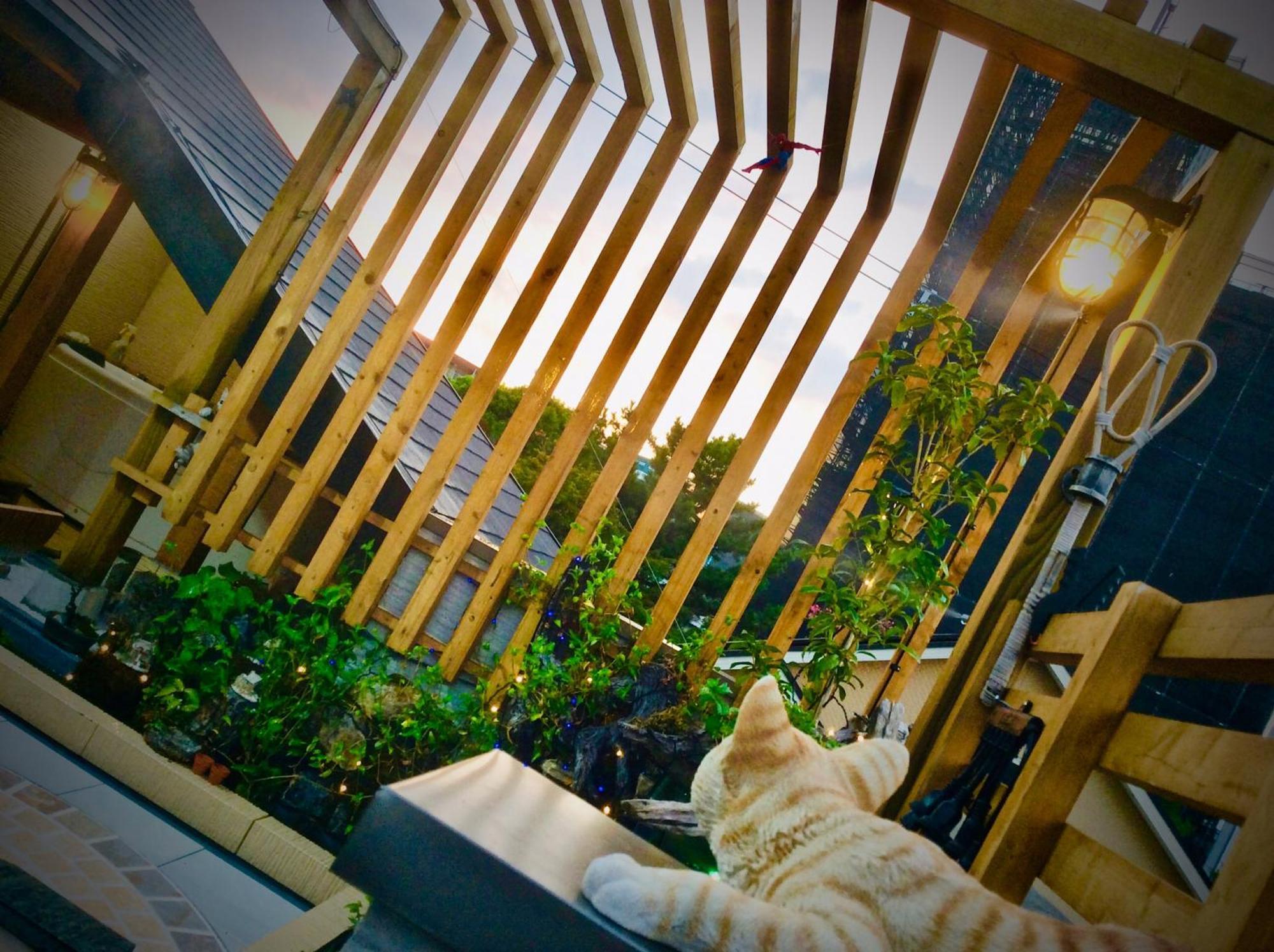Koke Musu Inn Otsu Exterior foto